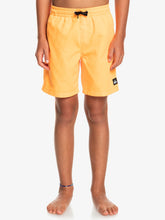 Load image into Gallery viewer, Boy's Everyday Volley 15