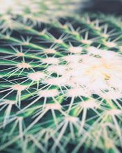 Load image into Gallery viewer, Cacti Yoga Towel