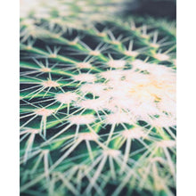 Load image into Gallery viewer, Cacti Yoga Towel