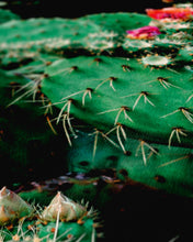 Load image into Gallery viewer, Desert Bloom Yoga ECO Towel