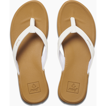 Load image into Gallery viewer, REEF ROVER CATCH