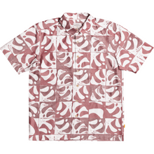 Load image into Gallery viewer, FRONDY
