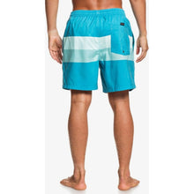 Load image into Gallery viewer, Seasons 17&quot; Volleys
