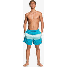 Load image into Gallery viewer, Seasons 17&quot; Volleys
