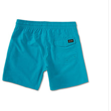 Load image into Gallery viewer, Lido Solid Trunks
