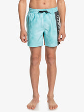 Load image into Gallery viewer, Boy&#39;s Acid Wash Volley 14
