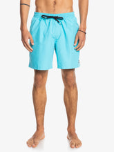 Load image into Gallery viewer, Men&#39;s Everyday Volley 17
