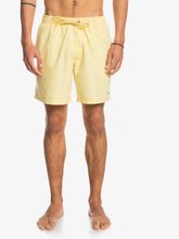 Load image into Gallery viewer, Men&#39;s Everyday Volley 17
