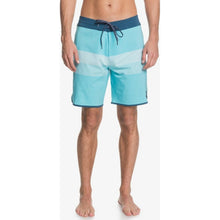 Load image into Gallery viewer, Vista 19" Beachshorts
