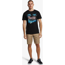 Load image into Gallery viewer, FL FLAMINGO COAST MT0
