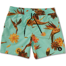 Load image into Gallery viewer, POLY MORPH TRUNK 17
