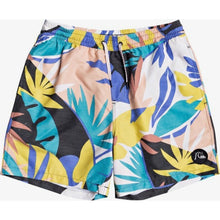 Load image into Gallery viewer, No Destination 17&quot; Volleys
