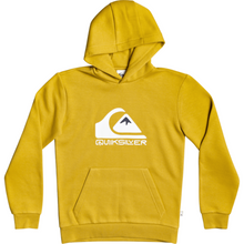 Load image into Gallery viewer, BOYS BIG LOGO HOOD YOUTH
