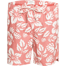 Load image into Gallery viewer, HIGHLIGHTER HI VOLLEY 18
