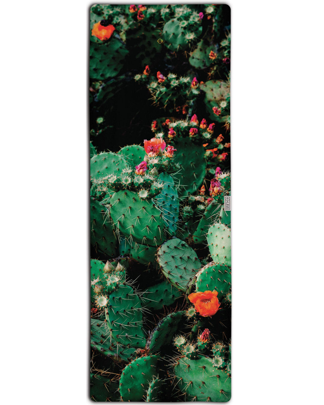 Desert Bloom Yoga ECO Towel