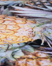 Load image into Gallery viewer, Pineapple Paradise Yoga ECO Towel
