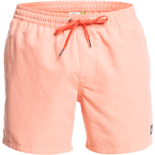 Load image into Gallery viewer, EVERYDAY VOLLEY 15
