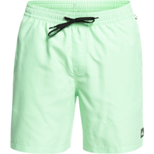 Load image into Gallery viewer, EVERYDAY VOLLEY 17
