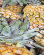 Load image into Gallery viewer, Pineapple Paradise Gym ECO Towel
