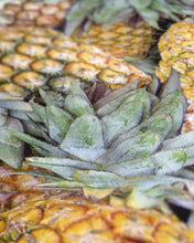 Load image into Gallery viewer, Pineapple Paradise Outdoor ECO Towel
