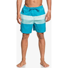 Load image into Gallery viewer, Seasons 17&quot; Volleys
