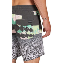 Load image into Gallery viewer, HORIZON TRUNK 17
