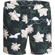 Load image into Gallery viewer, OG VOLLEY 17 NB
