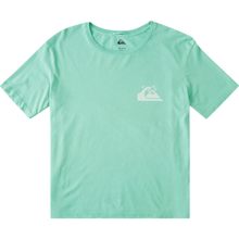 Load image into Gallery viewer, STANDARD SS TEE
