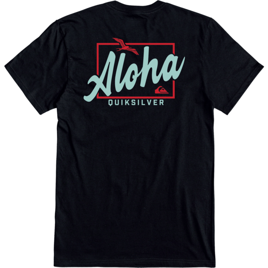 HI TAKING FLIGHT MTZ